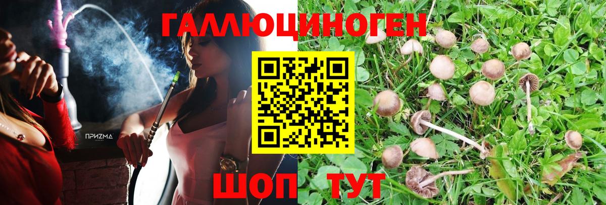 Галлюциногенные грибы MAGIC MUSHROOMS  Псилоцибиновые грибы мицелий  где купить   Вход с VPN  Фурманов 